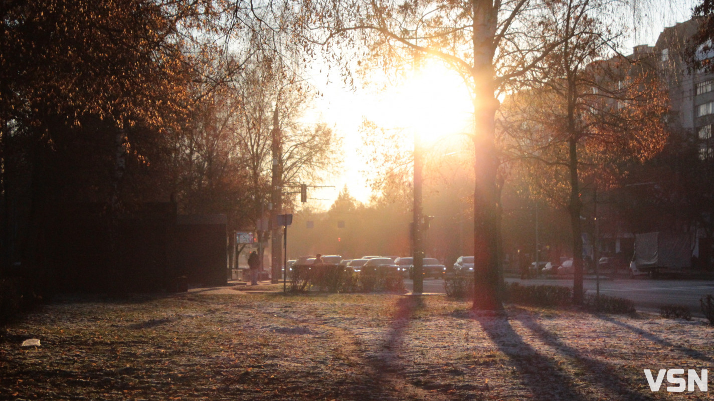 Засніжений Луцьк: як виглядають парки та двори міста взимку напередодні Нового 2026 року. Фоторепортаж