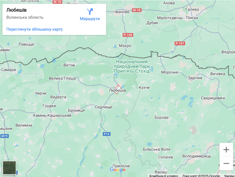 Грибний бум на Волині: де шукати білі, лисички та опеньки