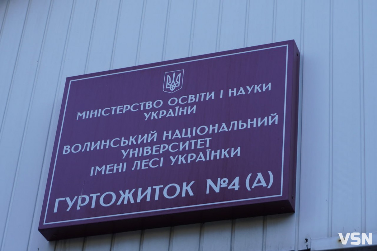 Як працюють гуртожитки у Луцьку та чому студенти обирають їх замість дорогих квартир?