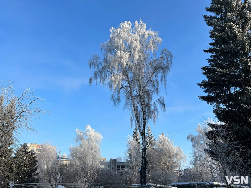 Від перших снігів до лютневих відлиг: якою була зима у Луцьку. Фоторепортаж