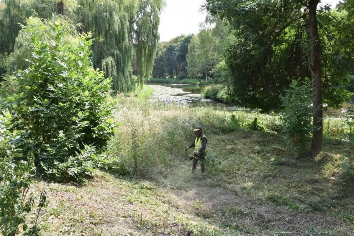 Від парку до зоопарку: секретар Луцької міської ради перевірив благоустрій і стан ведмежих вольєрів