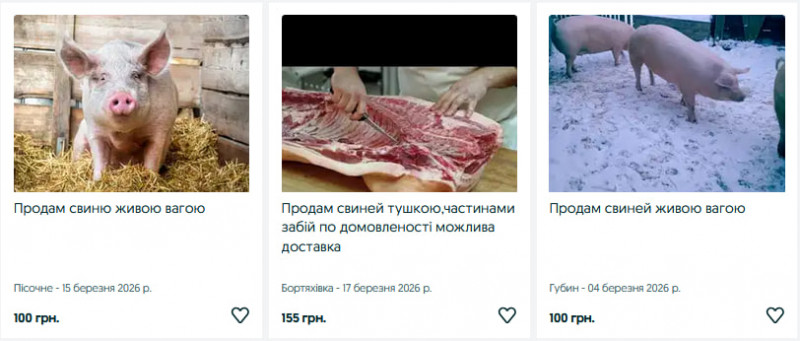 Скільки коштують поросята та свині на Волині?