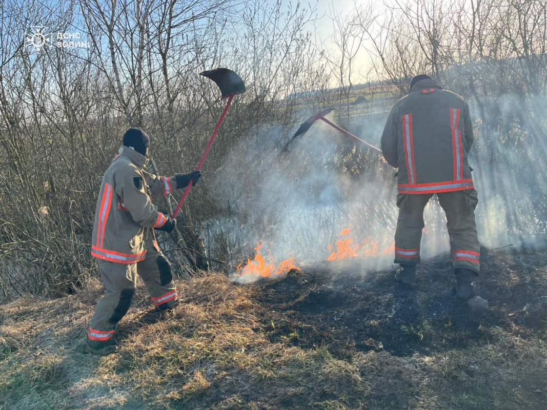 На Волині протягом доби вигоріло близько 16 гектарів сухої трави
