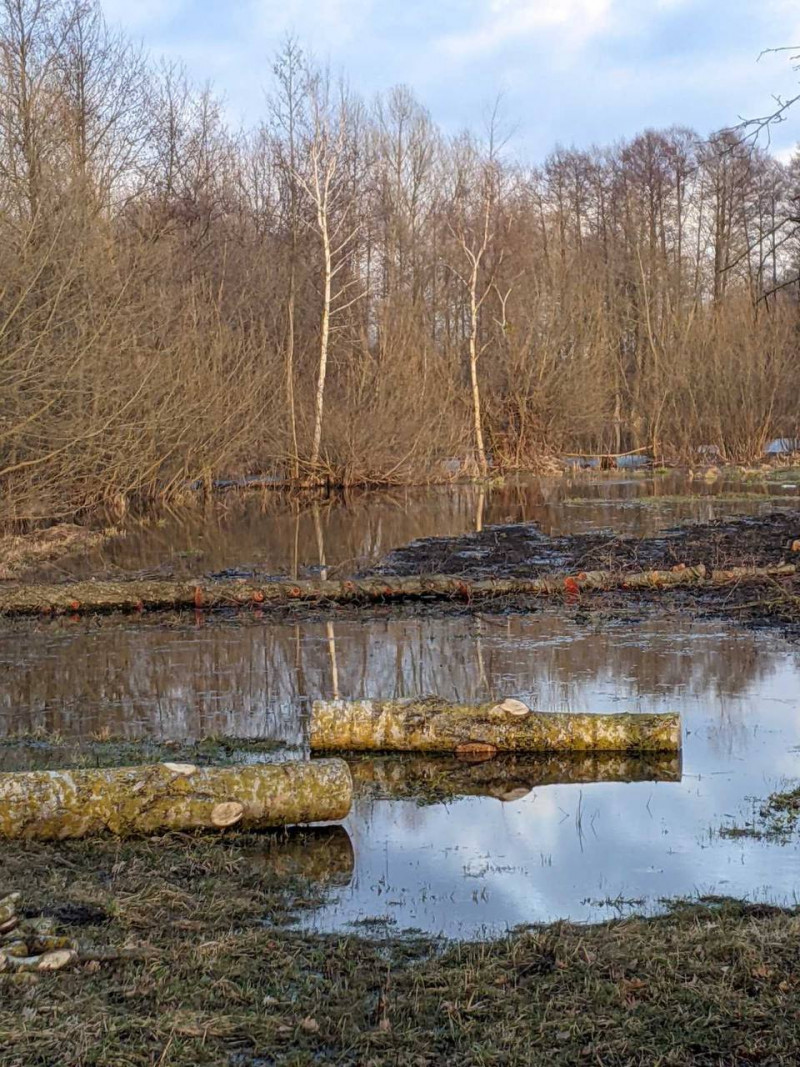Паводок – з грудня, повінь – навесні: такої великої води на Волинському Поліссі не було пів століття