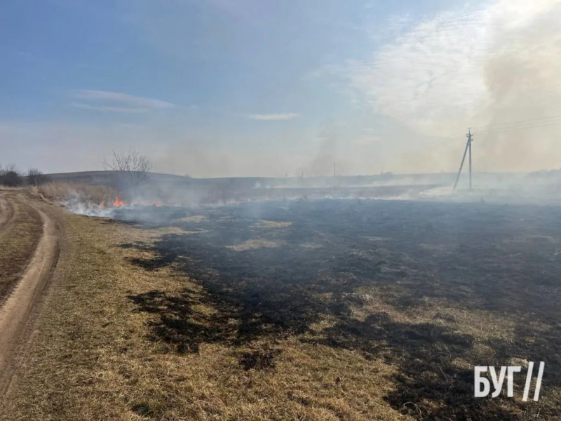 На Волині горить два гектари поля