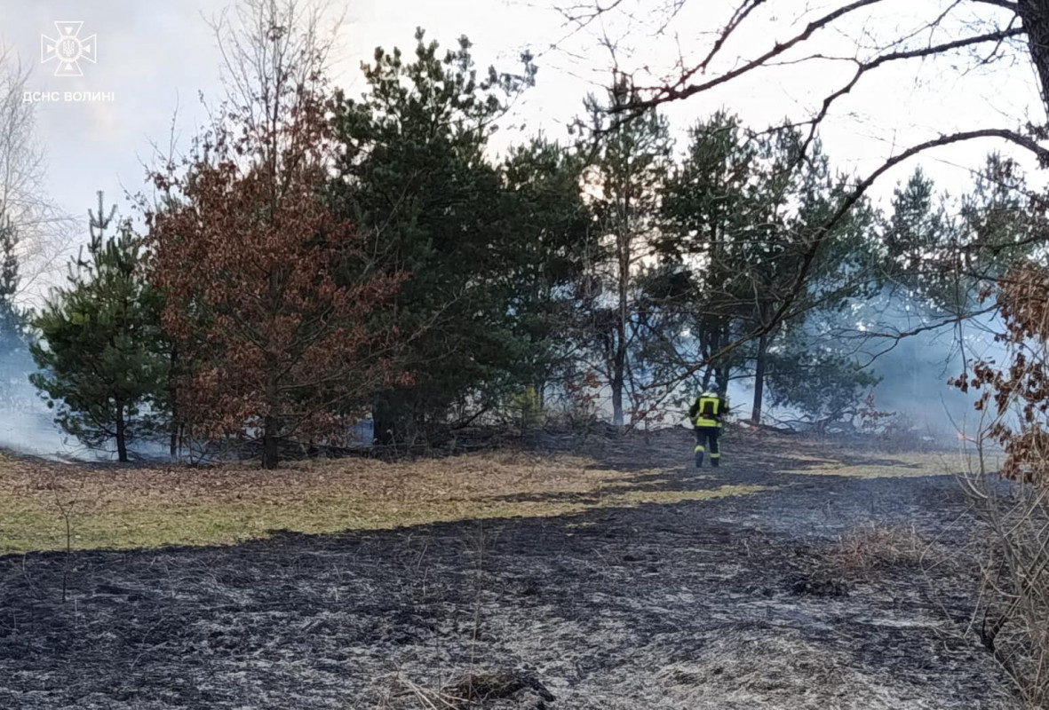 На Волині через людську недбалість згоріли хлів і понад 7 гектарів сухої трави