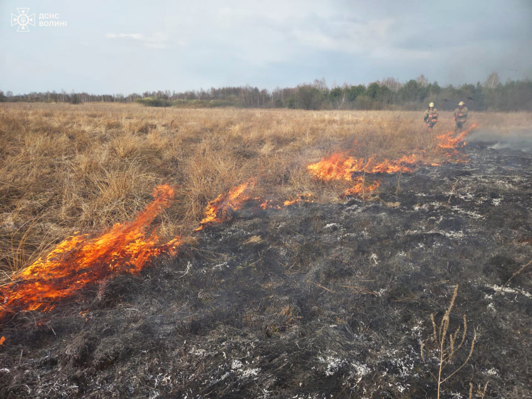 На Волині понад 7 годин гасили торф: за добу ліквідували 10 пожеж на 5 гектарах