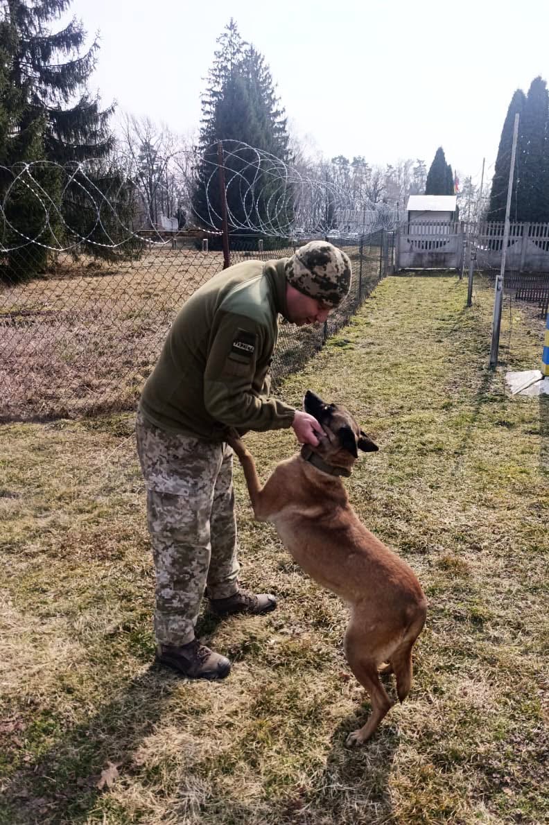 Здійснив мрію через 20 років: прикордонник із Волині охороняє кордон разом із вівчаркою Сенді