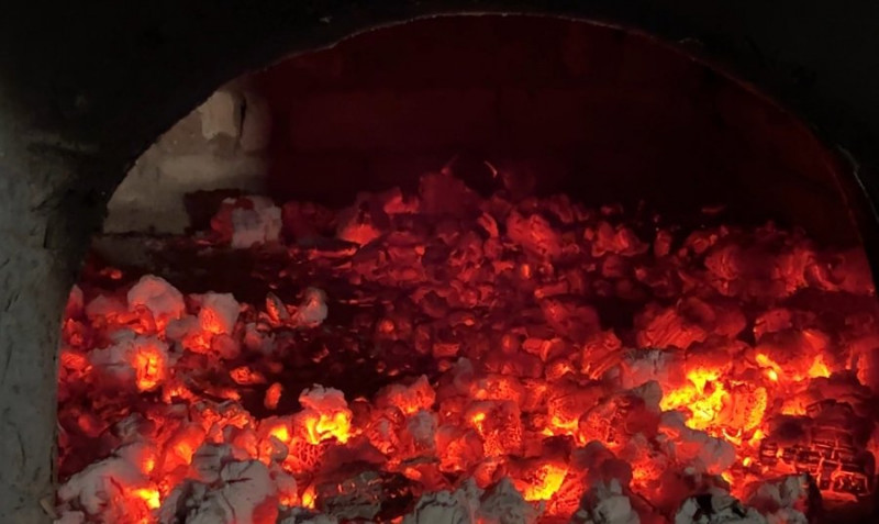 Волинянка стала зіркою ТікТоку - показує просте сільське життя