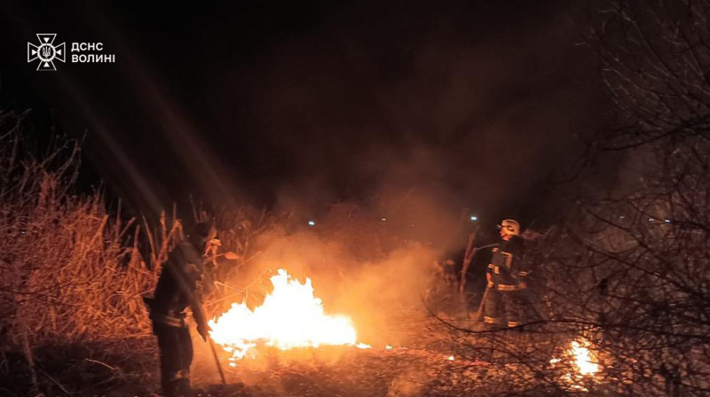 На Волині протягом доби вигоріло близько 16 гектарів сухої трави