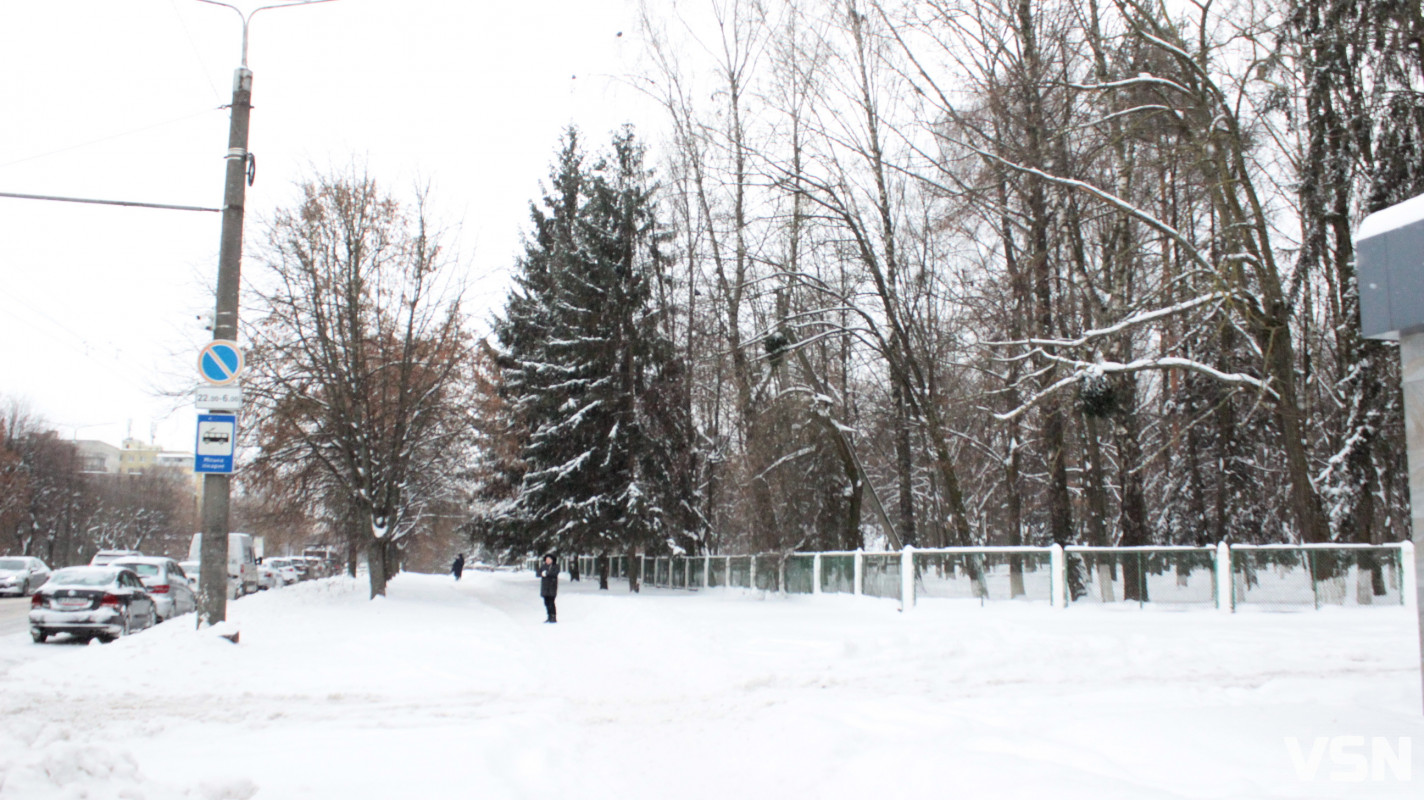 Луцьк після тижня снігопадів: фоторепортаж із засніжених вулиць міста