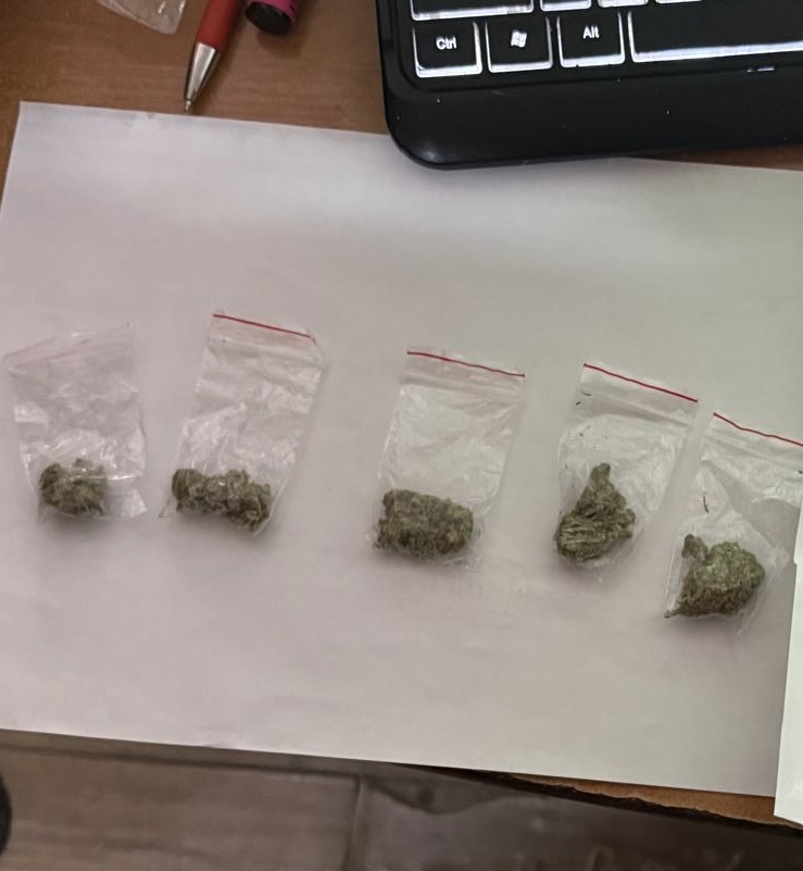 На волинському митному посту «Устилуг» службова лабрадорка винюхала наркотики у газовій плитці