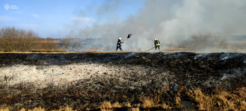 Вигоріло понад 50 гектарів: на Волині за добу ліквідували 28 пожеж