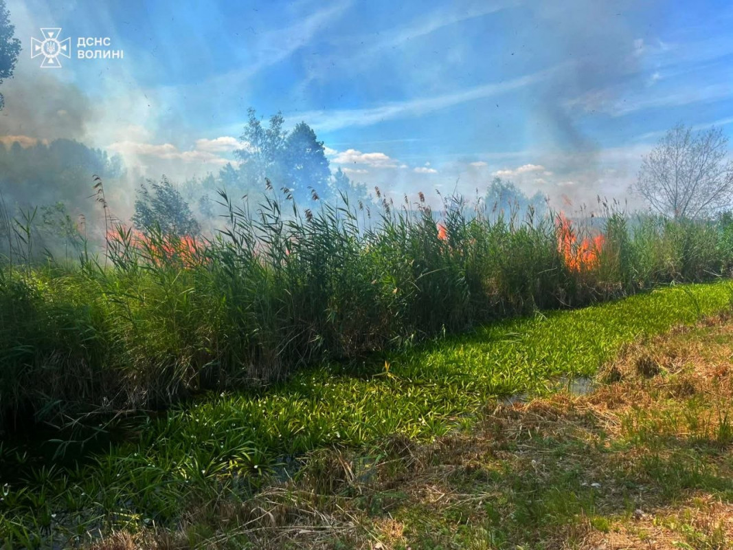 На Волині через недбалість людей виникло сім пожеж: досі гасять займання на торфовищі