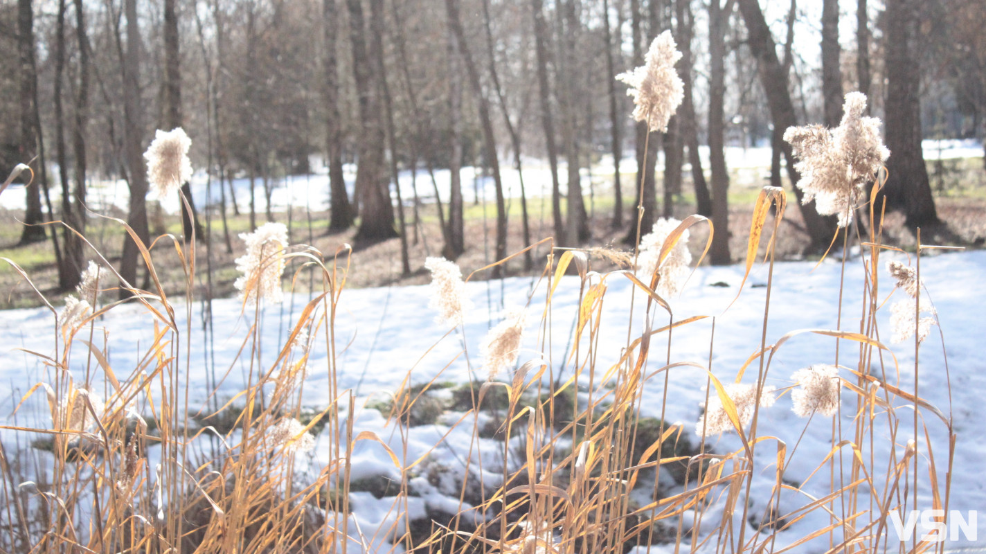 Весна у Луцьку: фоторепортаж із парку імені Лесі Українки