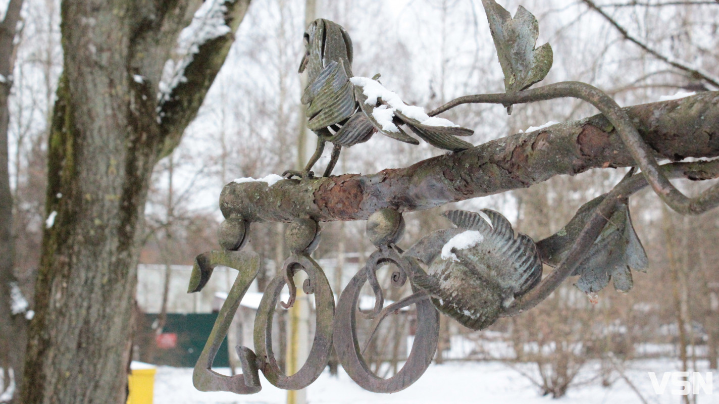 Як виглядає центральний парк у Луцьку у перші дні 2026 року. Фоторепортаж