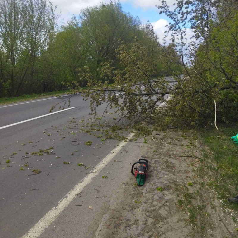 Перекинута зупинка, побите авто і повалені дерева: наслідки буревію на Волині