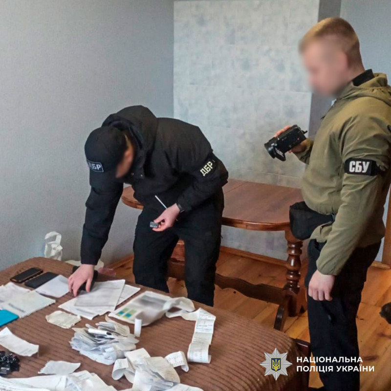 На Волині підприємець і посадовці лісництв організували незаконну порубку сосен на 15 мільйонів гривень
