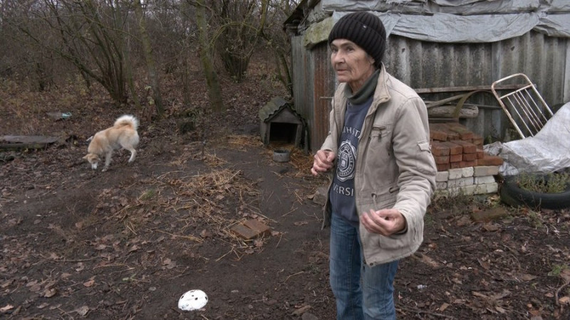 Чоловік, захищаючись, вбив вовка вилами: яка ситуація з поширенням сказу на Волині