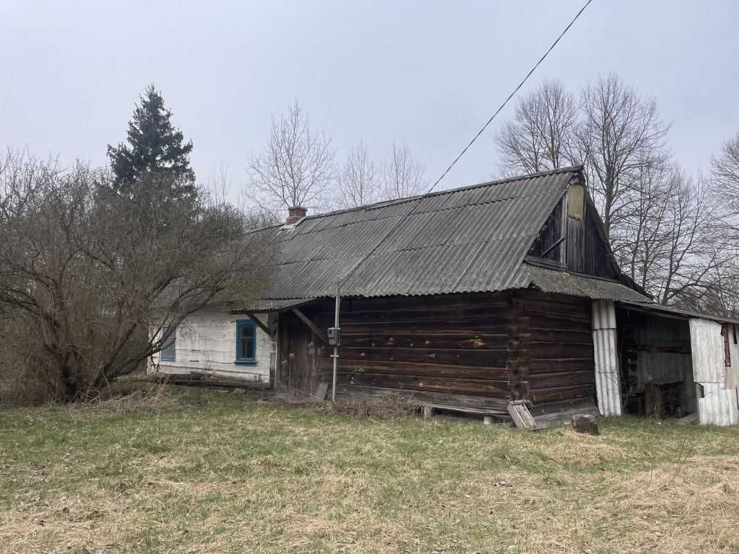 На Волині школярка знайшла троюрідну сестру під час конкурсу з дослідження родоводу