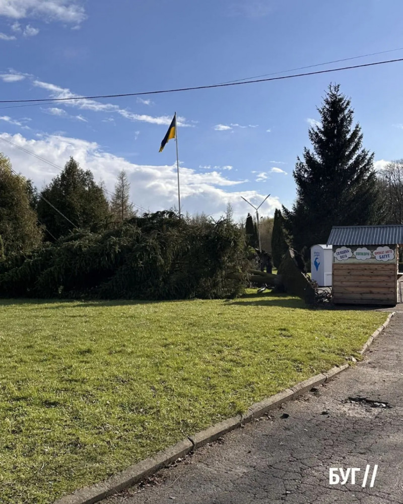 У Володимирі негода повалила дерева - фото