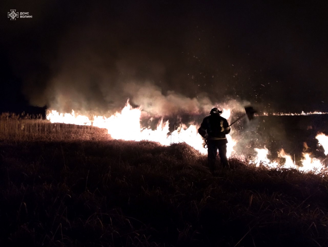 Вигоріло понад 50 гектарів: на Волині за добу ліквідували 28 пожеж