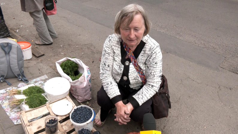 Мало ягід, багато праці: як збирають чорниці на Волині та скільки просять за літр