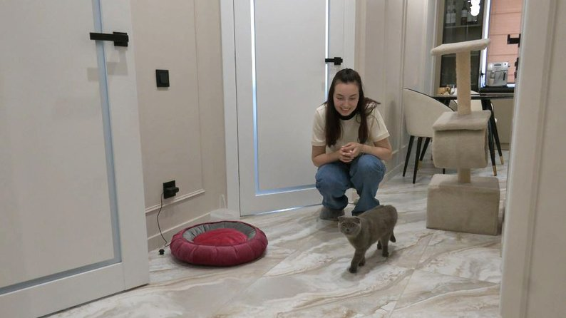 Евакуйований кіт із Херсонщини знайшов домівку в Луцьку