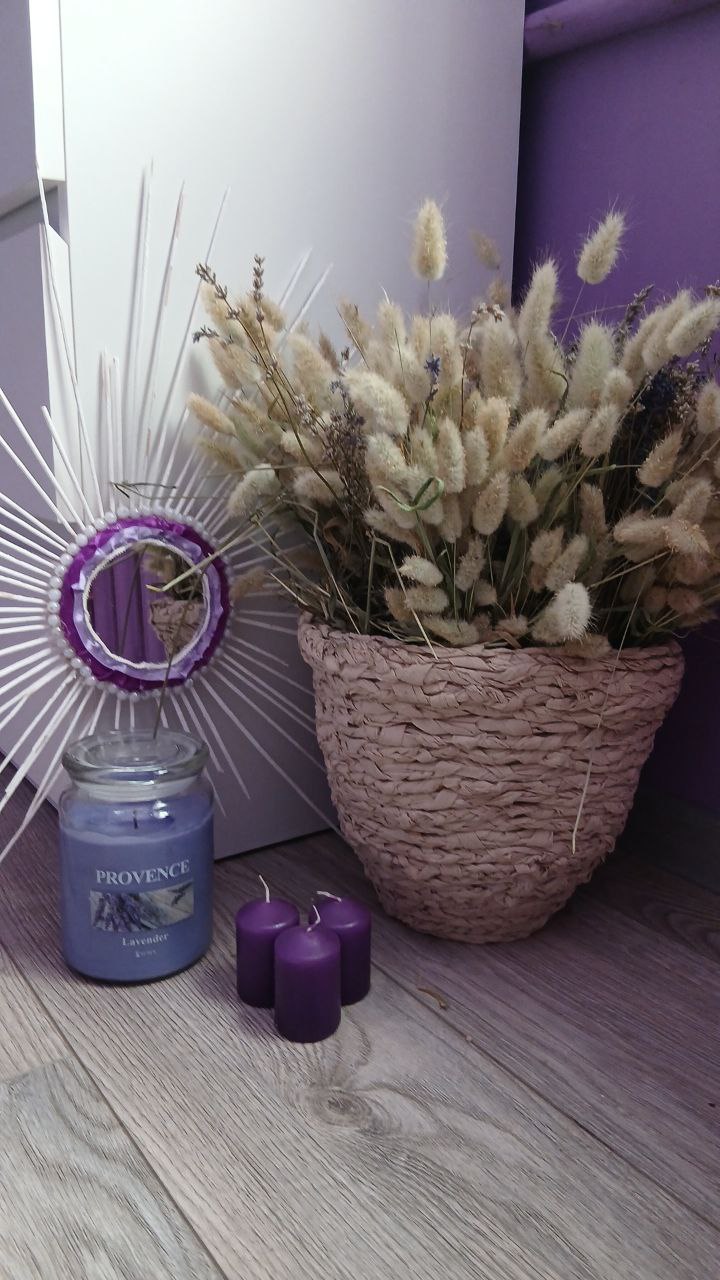 Як виростити зайцехвіст у саду та вдома: прості поради від досвідченої квітникарки з Волині