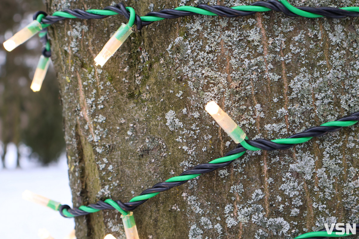 Останній день 2025 у Луцьку: місто в очікуванні Нового року. Фоторепортаж