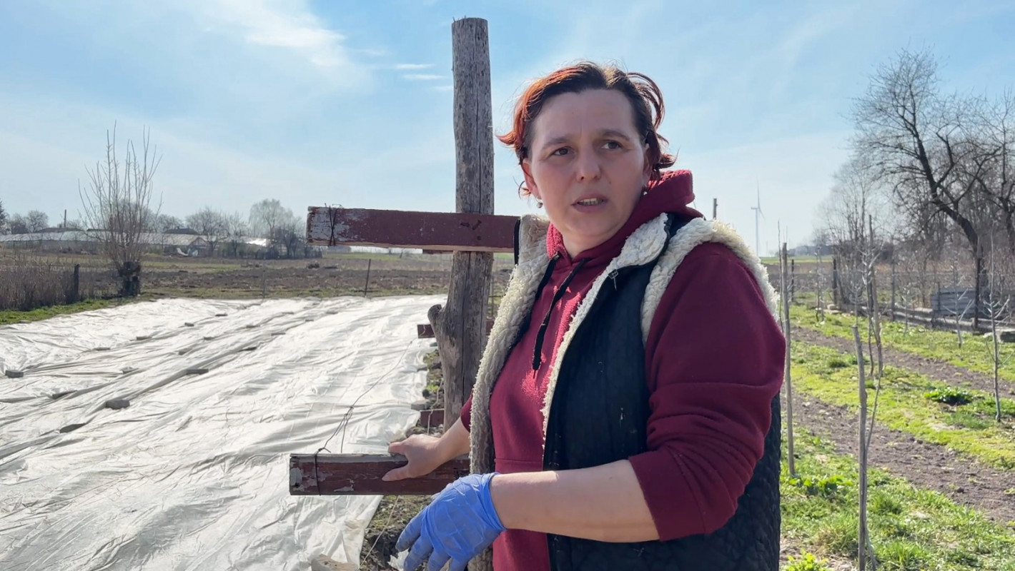 «Треба побавитися»: як у волинському селі вирощують городину і тримають господарство