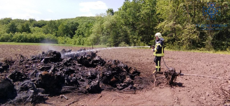 У Луцькому районі чоловік запалив сухостій біля самого лісу