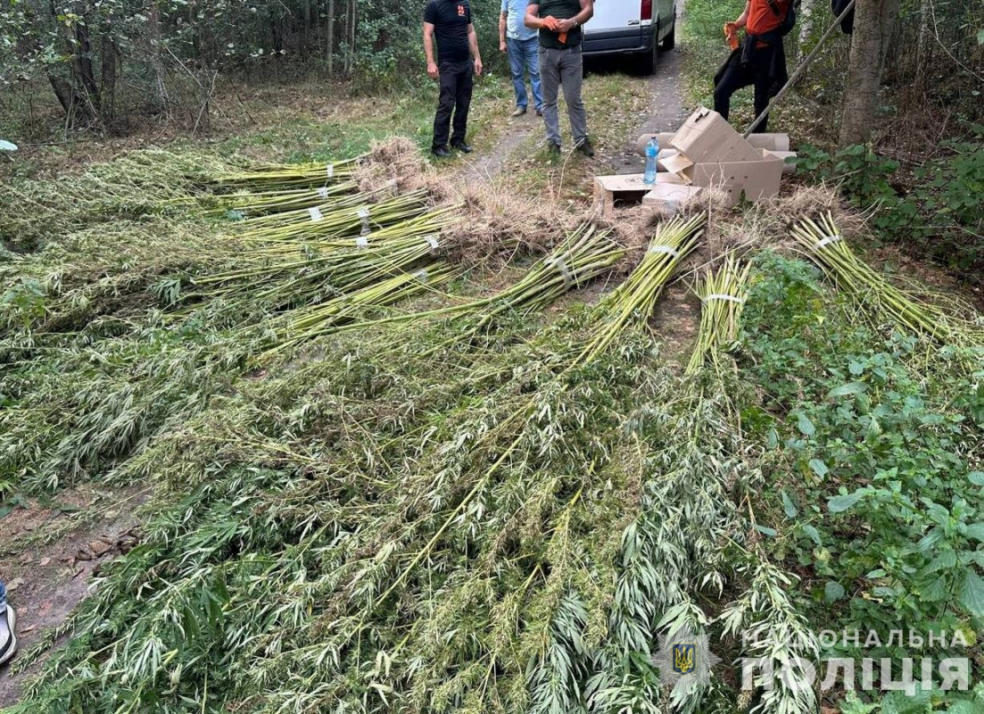 Вилучили наркотики на мільйон гривень: на Волині затримали наркоторговця