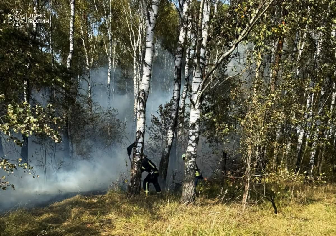 На Волині за добу вигоріло понад шість гектарів у п’яти локація: оштрафували одного палія