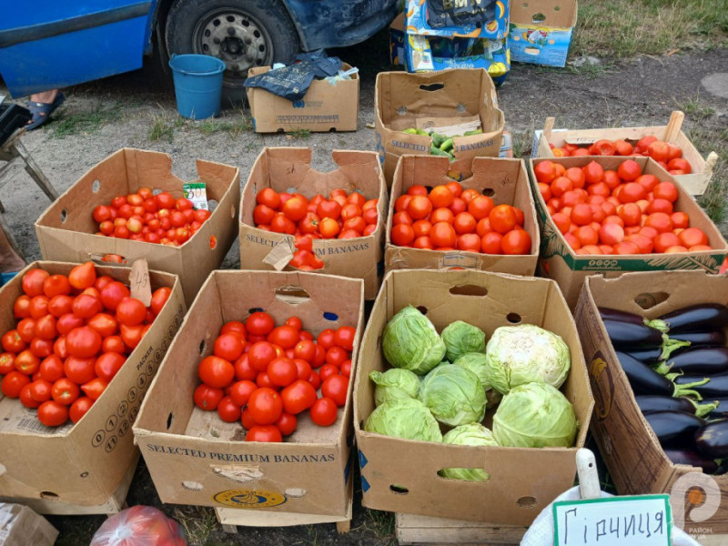 Сезон помідорів: скільки коштують ягоди на волинському ринку