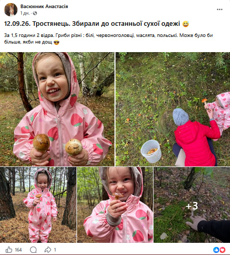 Повні відра за півтори години: де на Волині зараз найбільше грибів