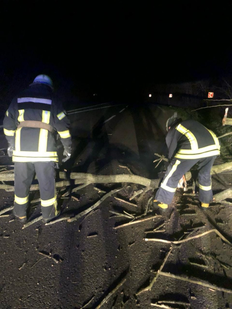 На Волині сильний вітер повалив дерево на дорогу: працювали рятувальники