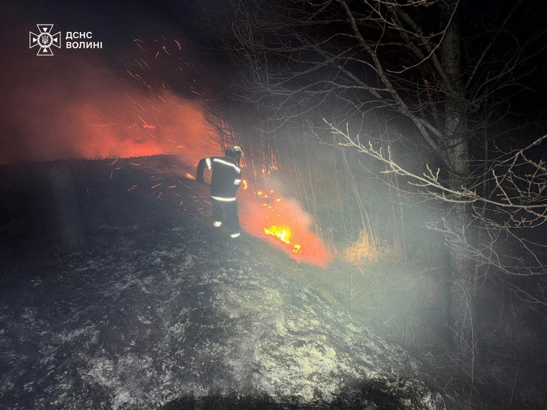 На Волині через людську недбалість вигоріло близько 8 га сухої трави та чагарників