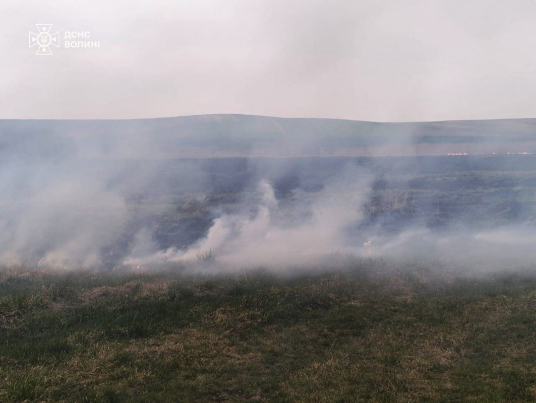 Через людську недбалість на Волині вигоріло близько 6 гектарів сухостою