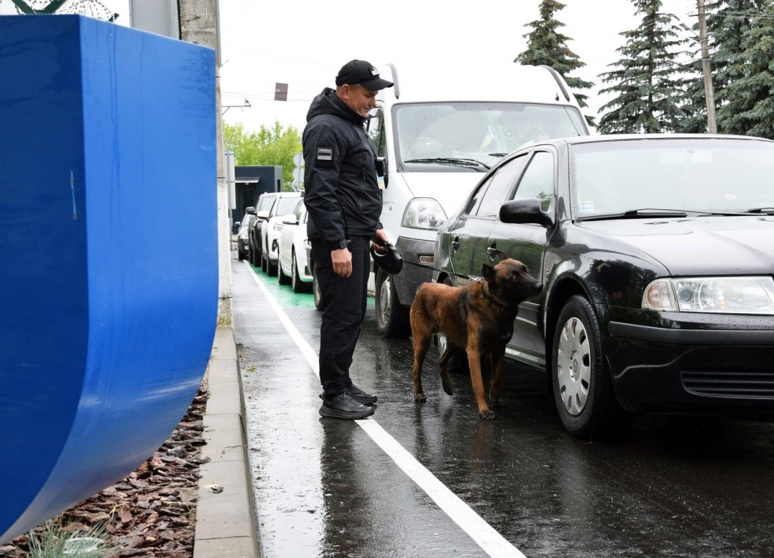 Фарс на варті кордону: історія службового пса прикордонника з Волині, який знаходить наркотики та обожнює яблука