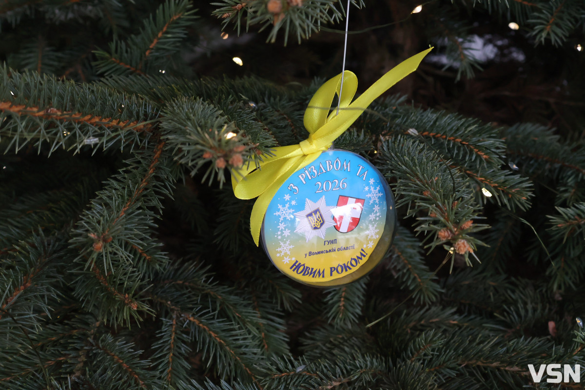 Шахрайства, ДТП та комендантська година: чим для поліції Волині запам’ятовуються новорічні свята