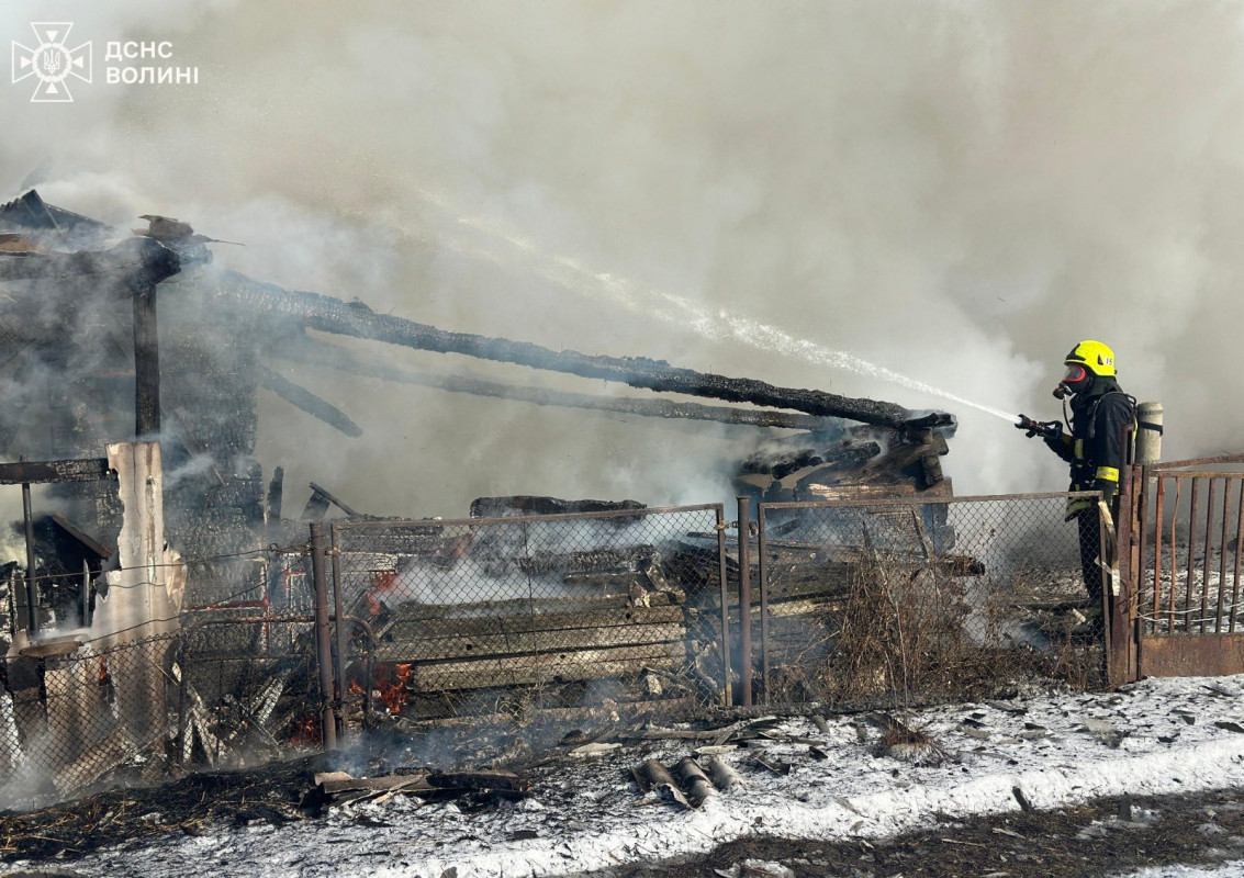 На Волині під час пожежі в селі згорів хлів, але врятували котика