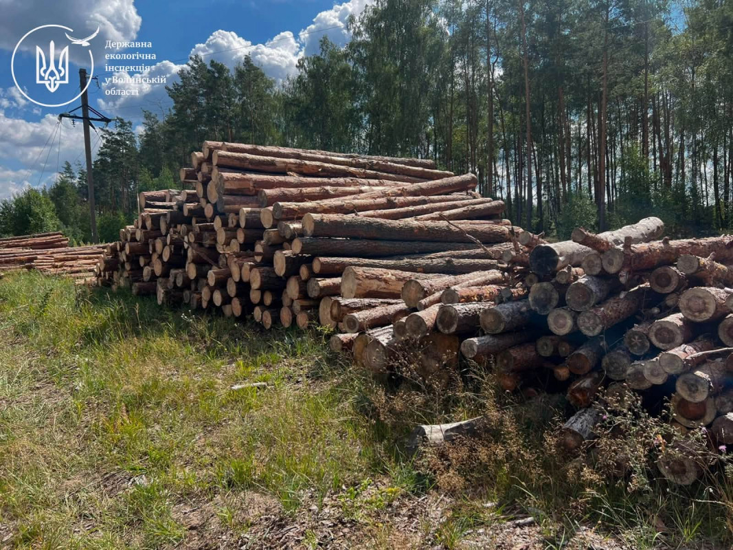 На Волині виявили деревину, яку незаконно вантажили краном на лісовоз