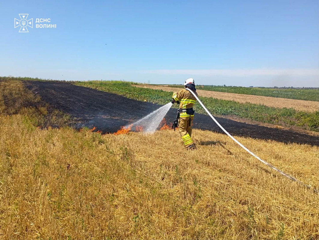 За добу на Волині спалахнули чотири пожежі: вогонь охопив майже 4 гектари