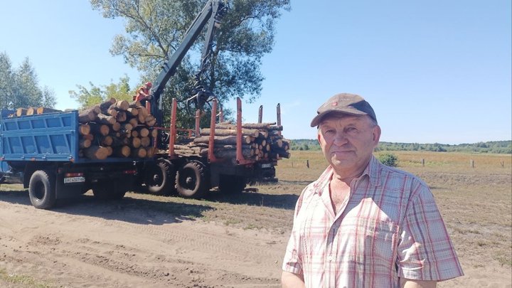 На Волині дрова подорожчали на 25%: скільки тепер коштує кубометр