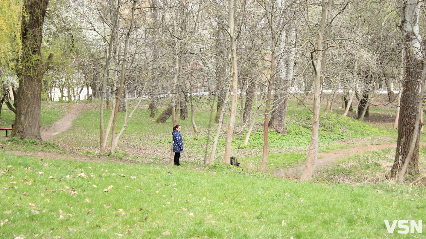 Як виглядає парк 900-річчя у Луцьку навесні 2026. Фоторепортаж