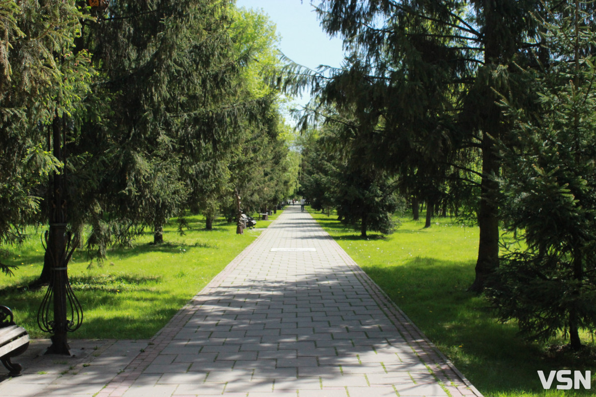 Як змінюється парк Лесі Українки — зелене серце Луцька. Фоторепортаж