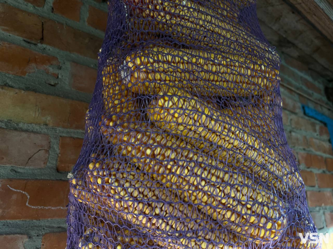 Заснували як місце покарання для людей: невідома історія села на Волині. Фоторепортаж