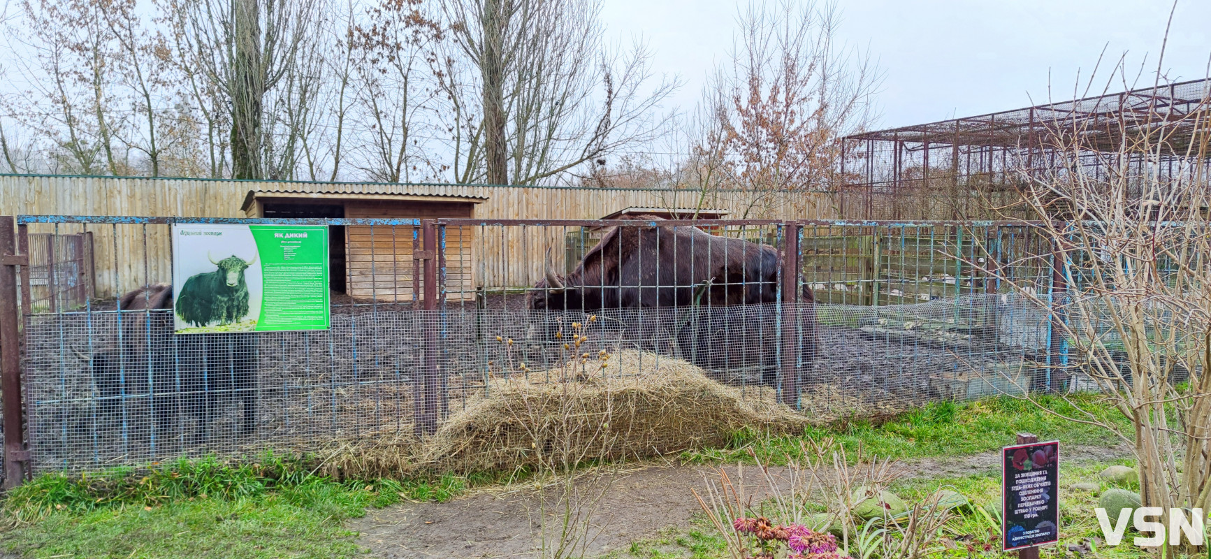 У Луцькому зоопарку готуються до зими: тварин переводять у теплі вольєри, а для відвідувачів уже готують свято Миколая