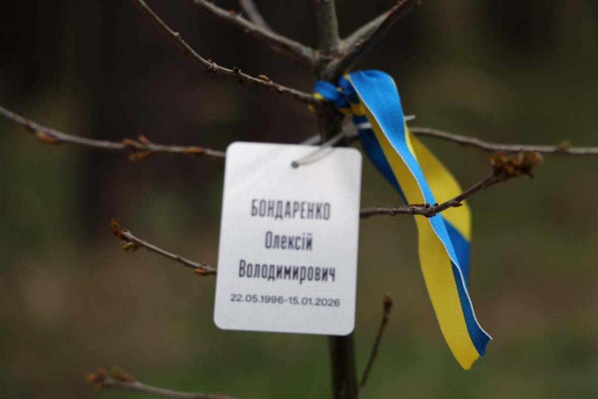 У Кульчині висадили 130 дубів у пам’ять про полеглих захисників